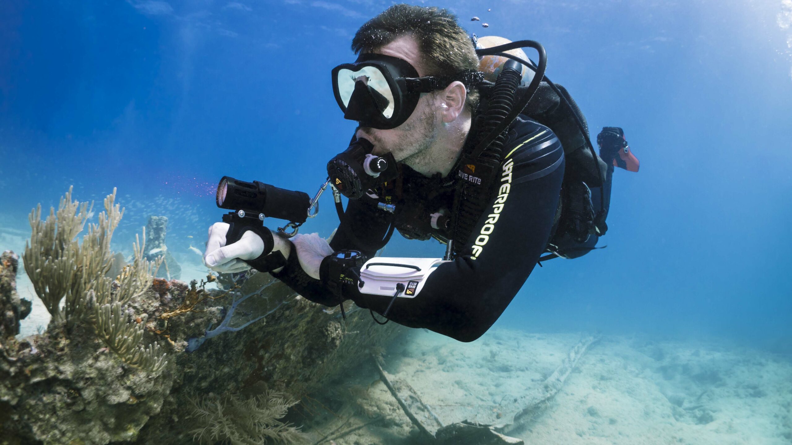 SDI search and Recovery