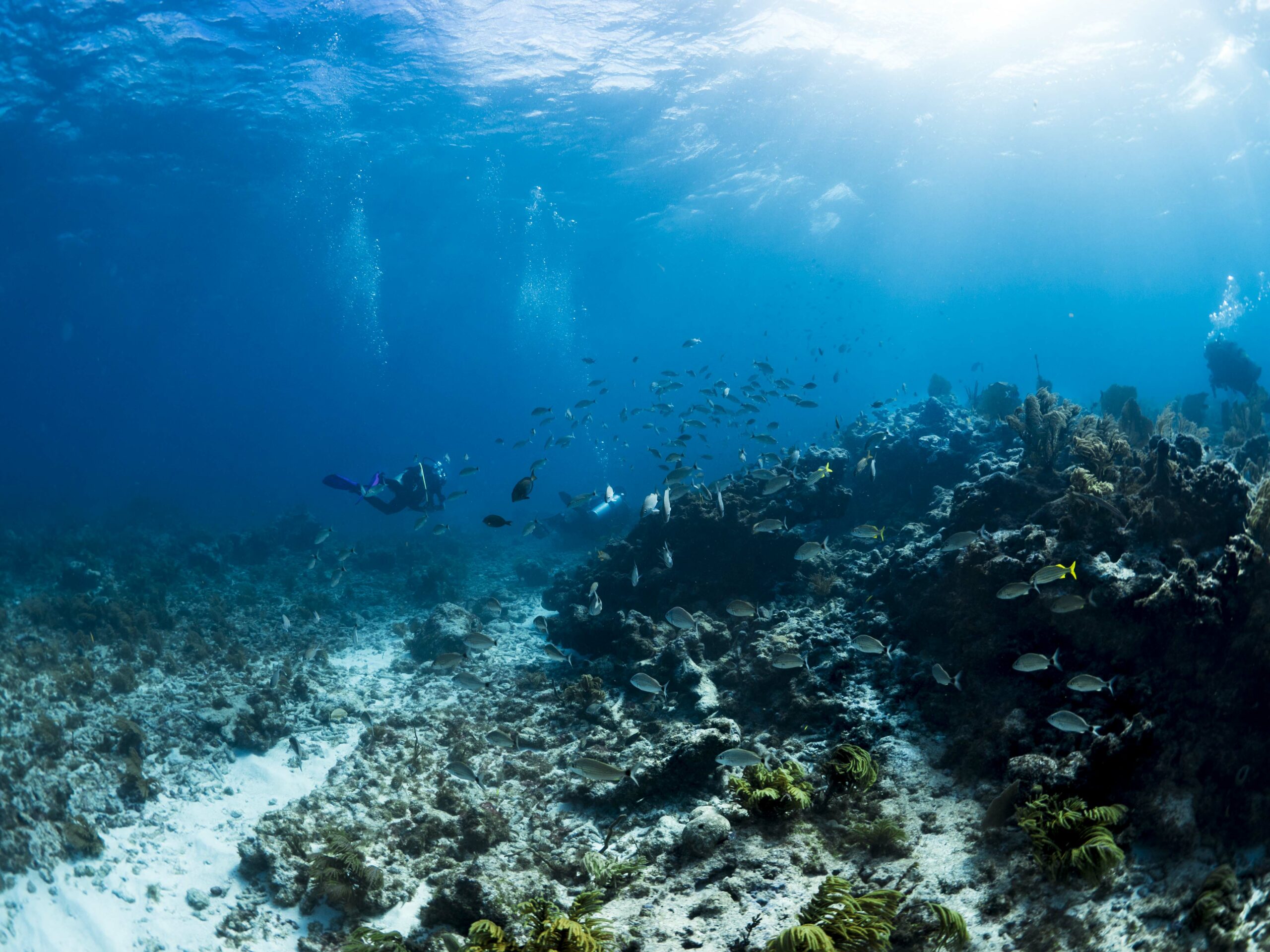 Überprüfung von Tauchflaschen